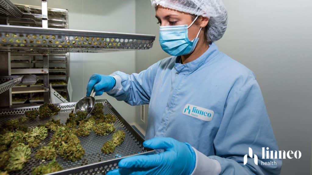 Qué famosos y conocidos empresarios están apostando fuerte por los negocios del cannabis