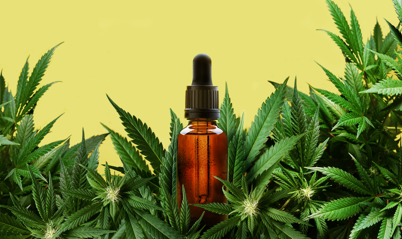 Cannabis medicinal