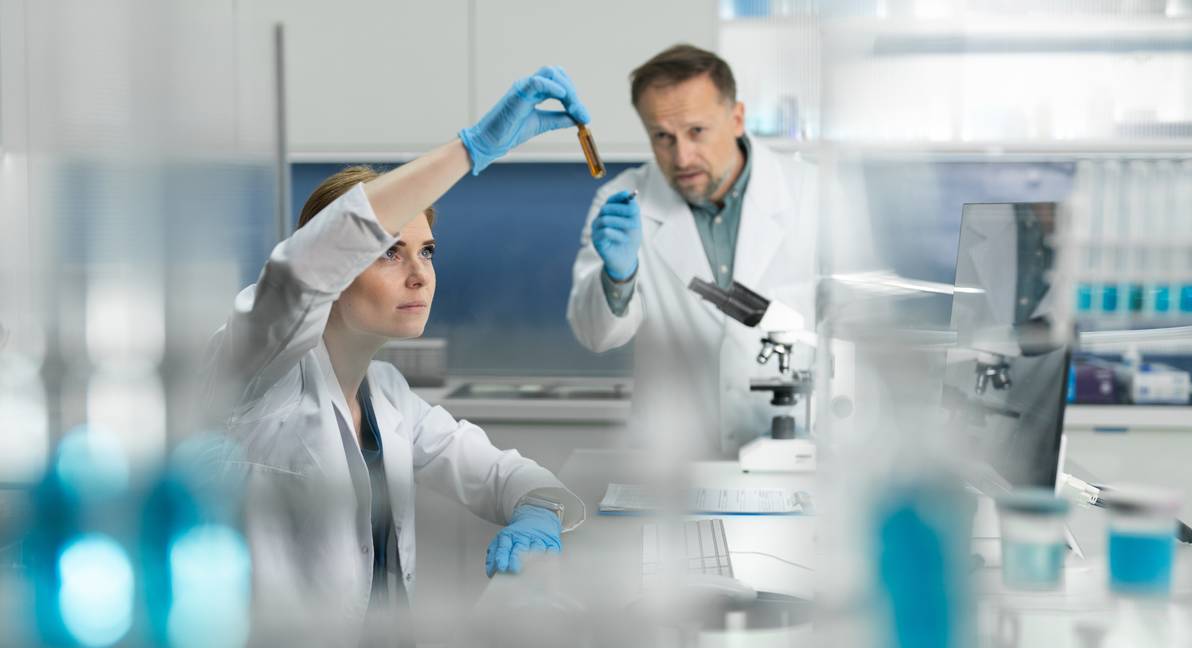 istock investigación
