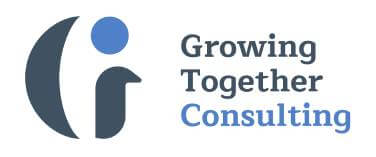 GT Consulting