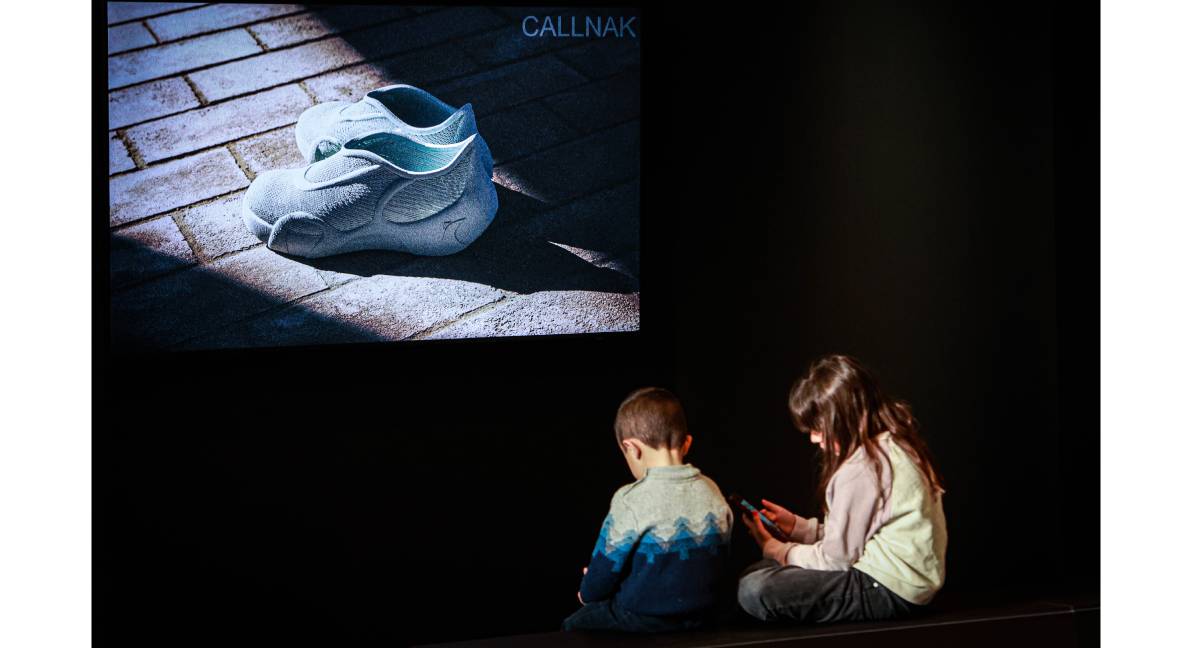 Callnak PCUMH zapatos 3D