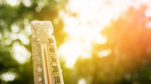 Cambio climático