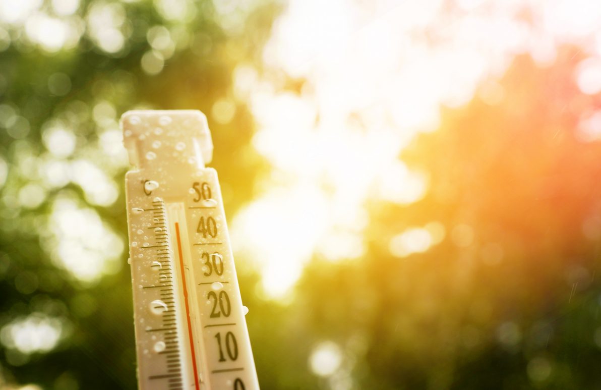 Cambio climático