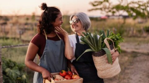 istock empresa familiar
