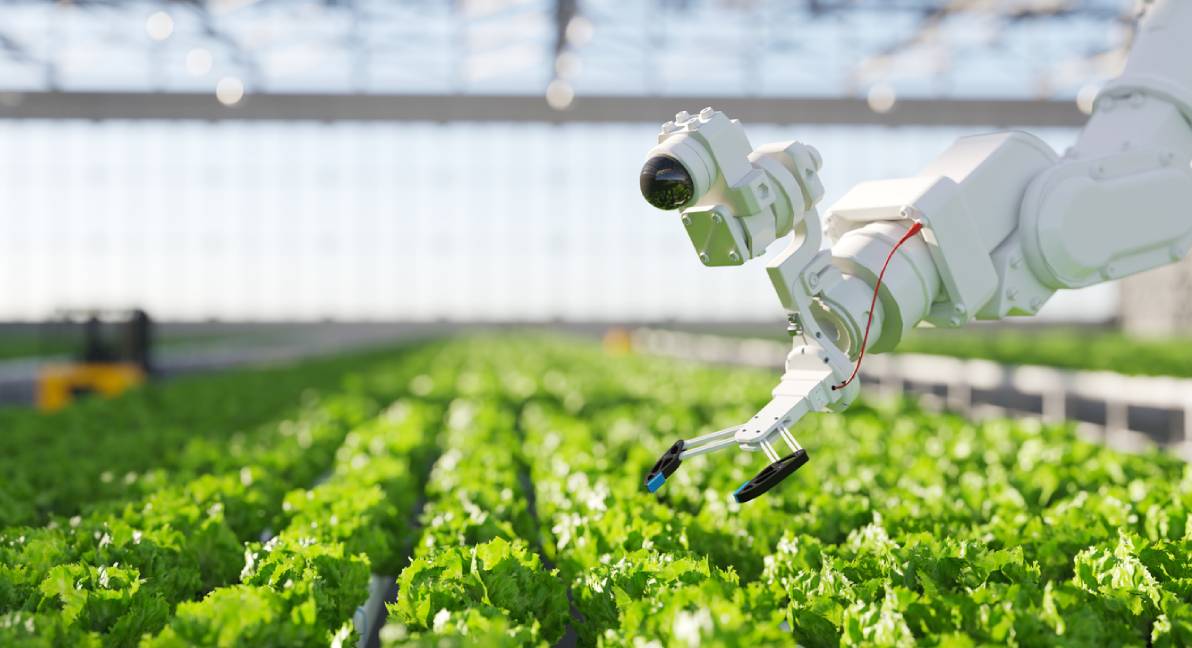istock agroalimentación