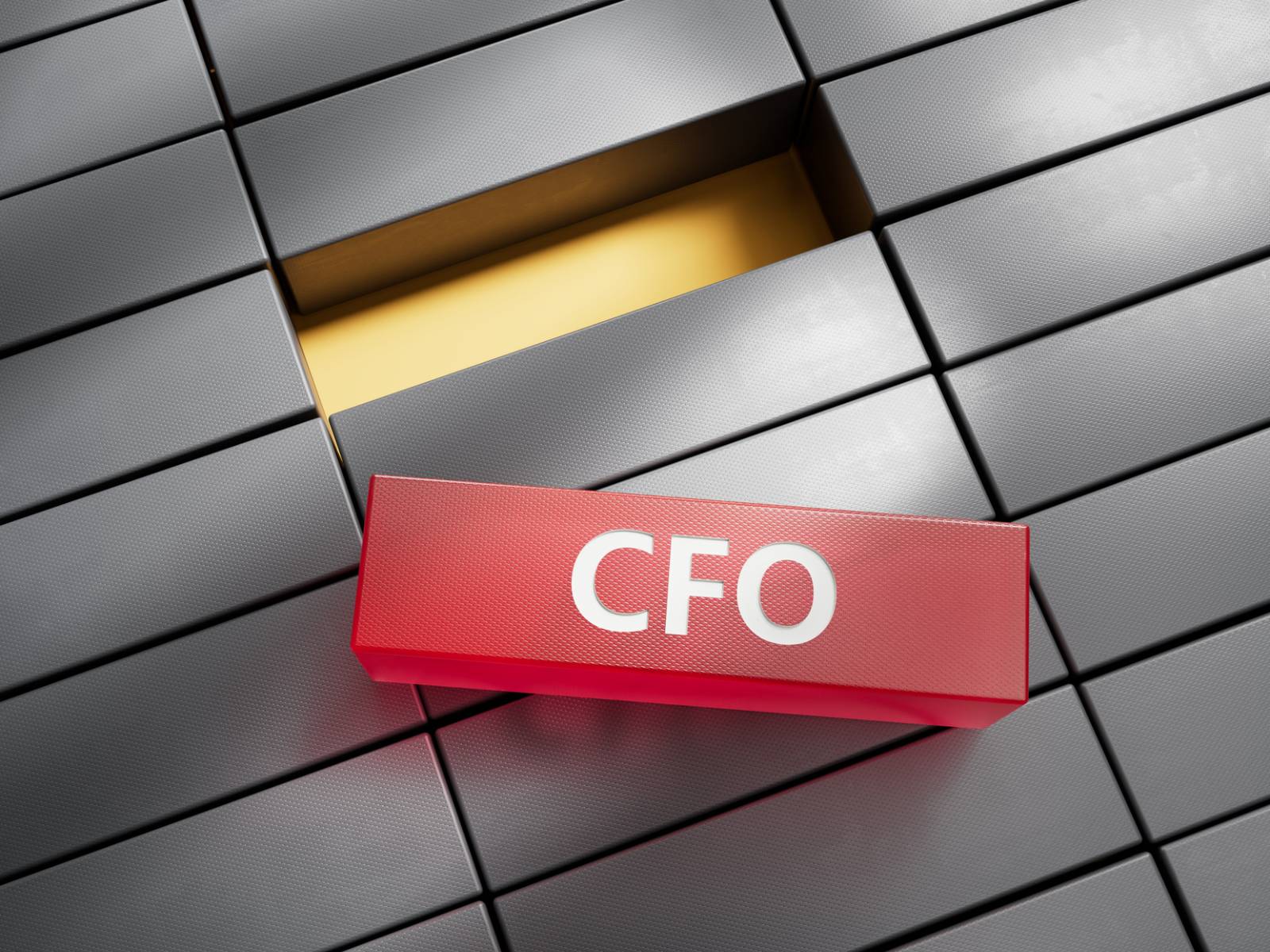 CFO (Chief Financial Officer)