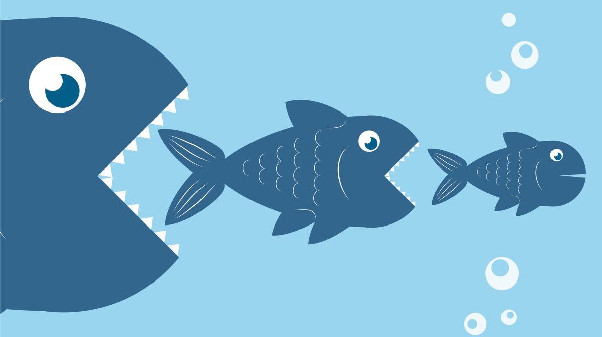 Qué son las killer acquisitions