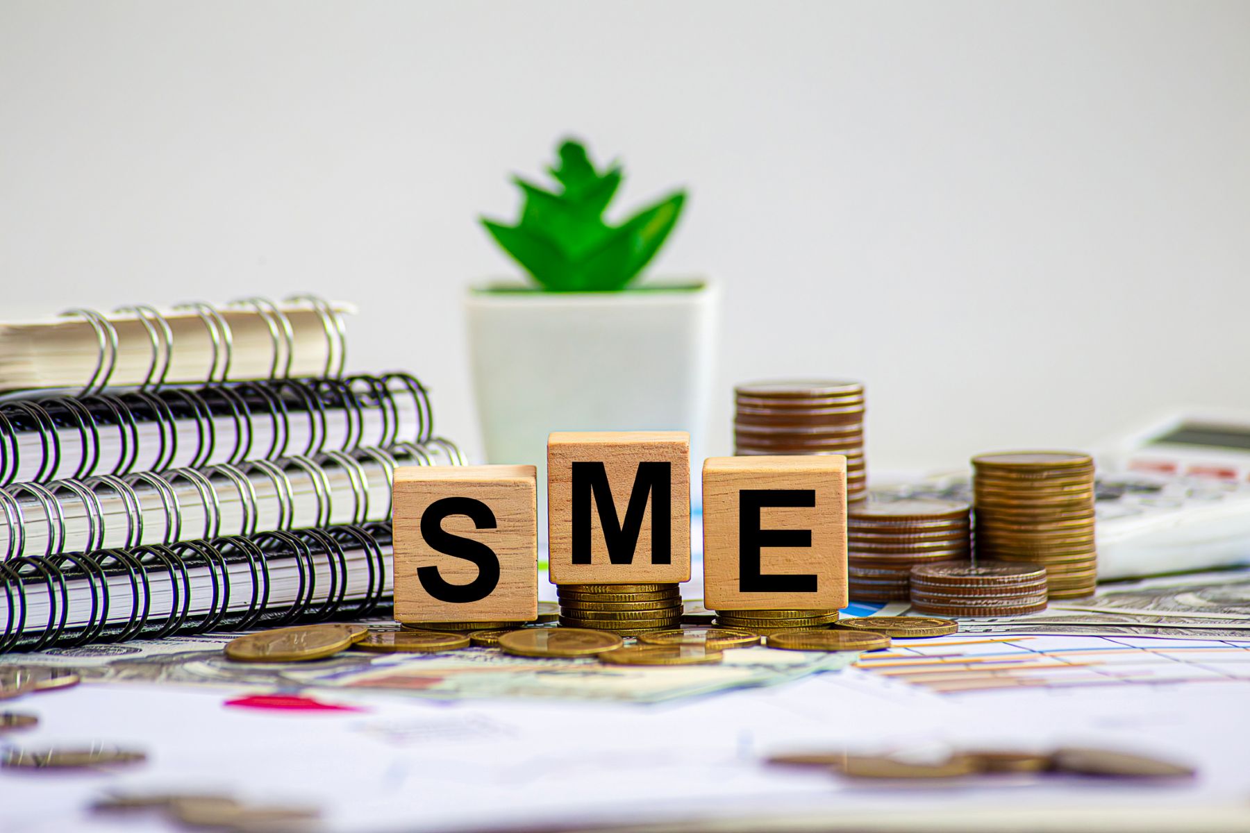 Letras SME, de pequela y mediana empresa en inglés, sobre una mesa con monedas, cuadernos y una planta