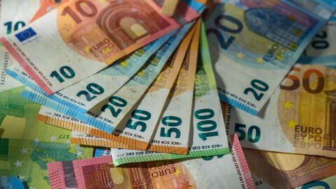 Billetes de euro desplegados en abanico.