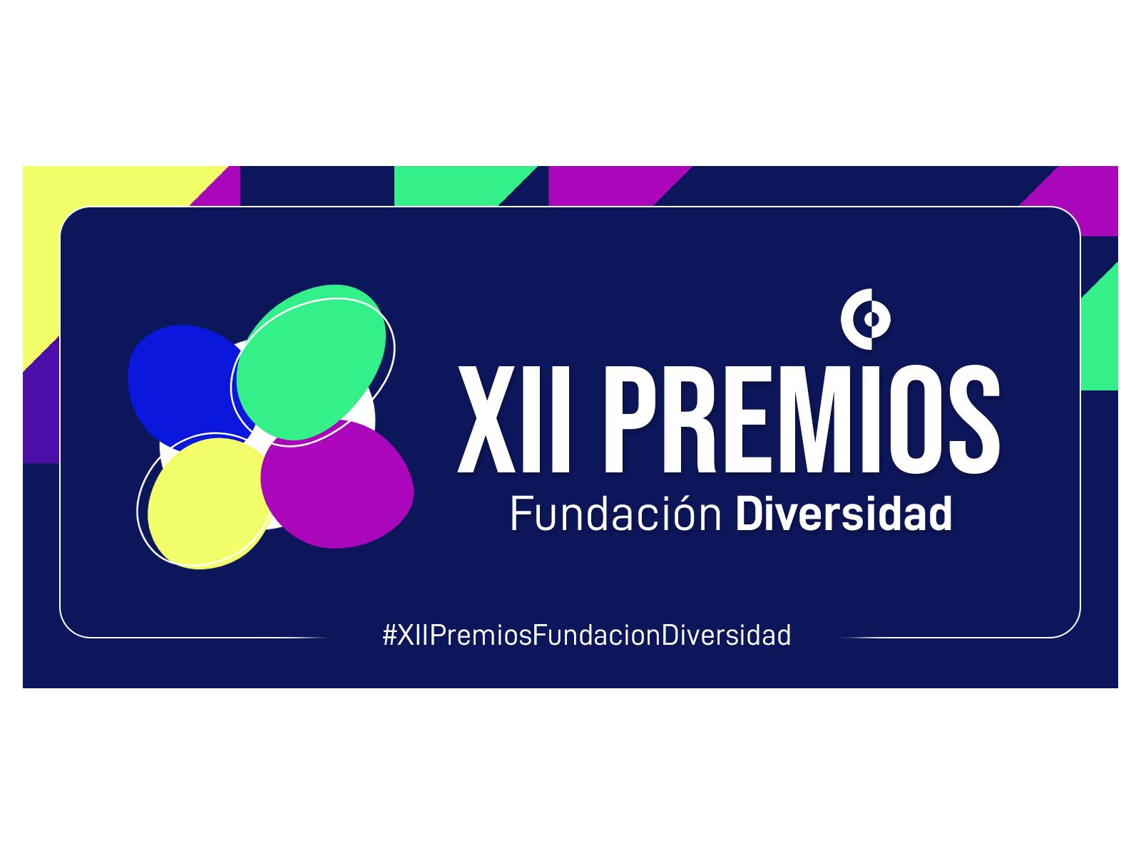 XII Premios Fundación Diversidad