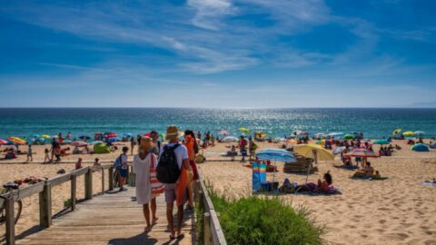 Familia que llega caminando por una pasarela a la playa