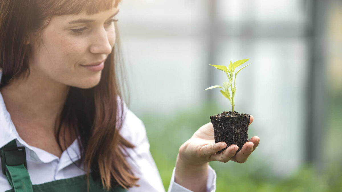 Industria abre una línea de ayudas con 300M€ para impulsar la innovación de las pymes en la lucha contra el cambio climático