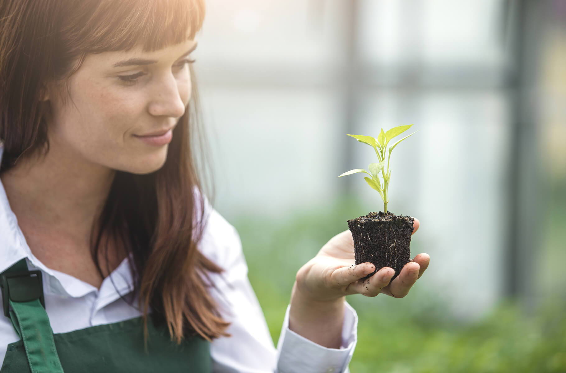 Industria abre una línea de ayudas con 300M€ para impulsar la innovación de las pymes en la lucha contra el cambio climático