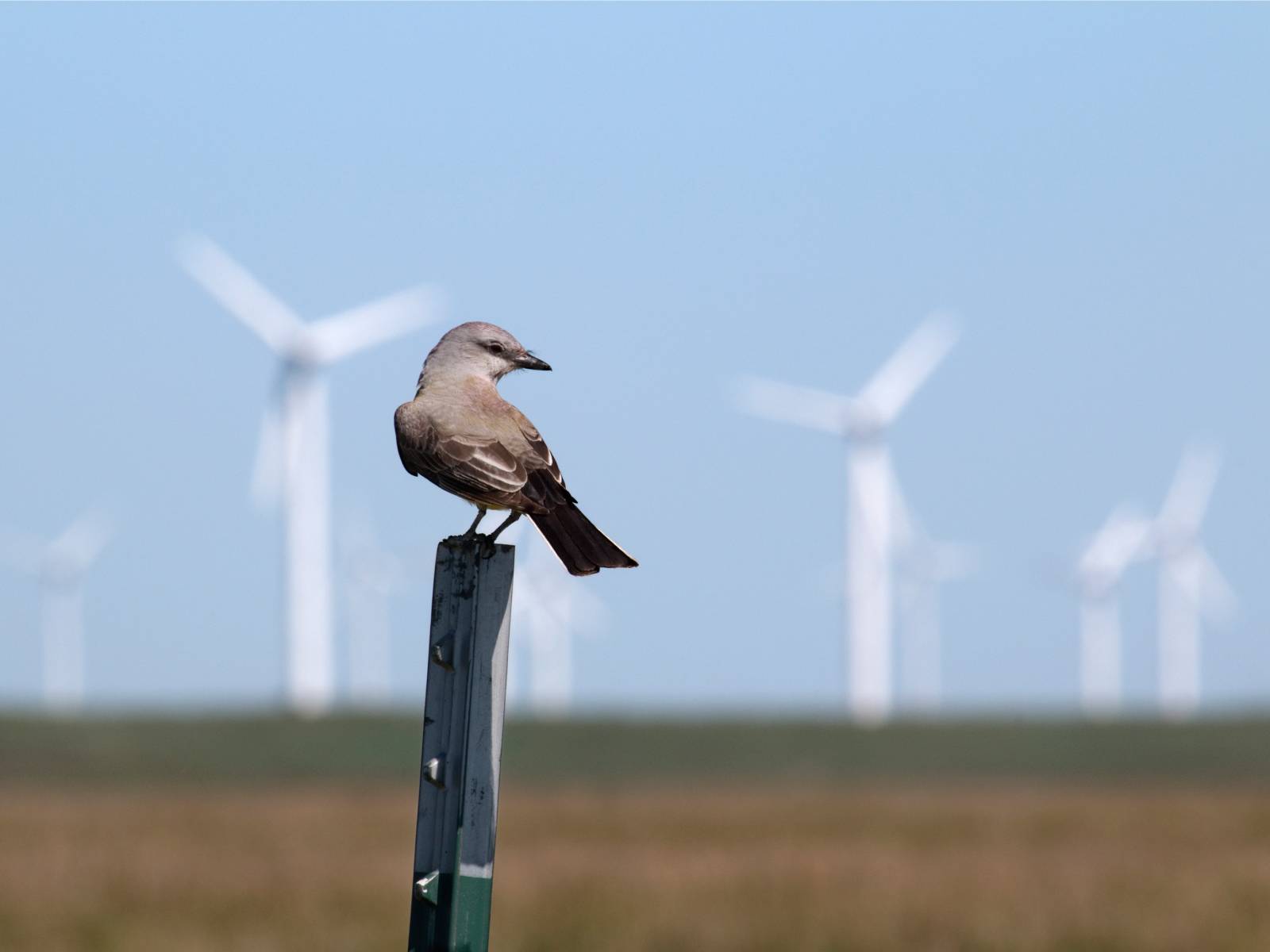 Foto: iStock.