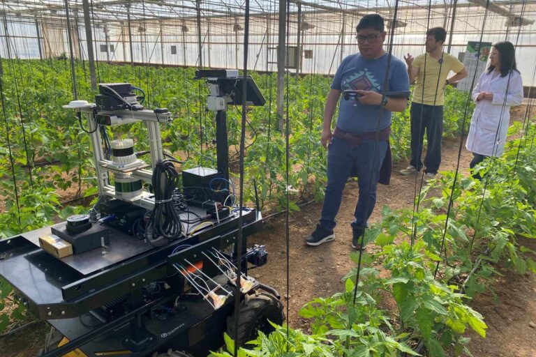 Cajamar lidera el impulso de la innovación agroalimentaria