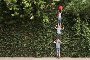 5 disfunciones de los equipos de trabajo