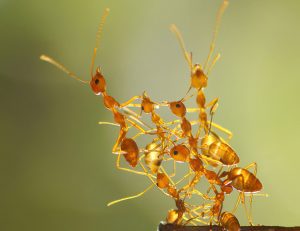 5 ideas que no se le habrían ocurrido ni a los de Silicon Valley