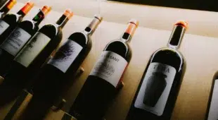 7 Franquicias de vinos más rentables para abrir en España