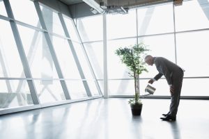 80 business angels para tu startup