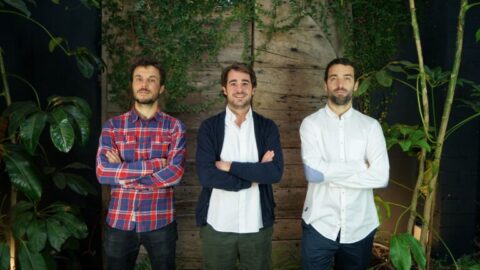 Amphora fundadores