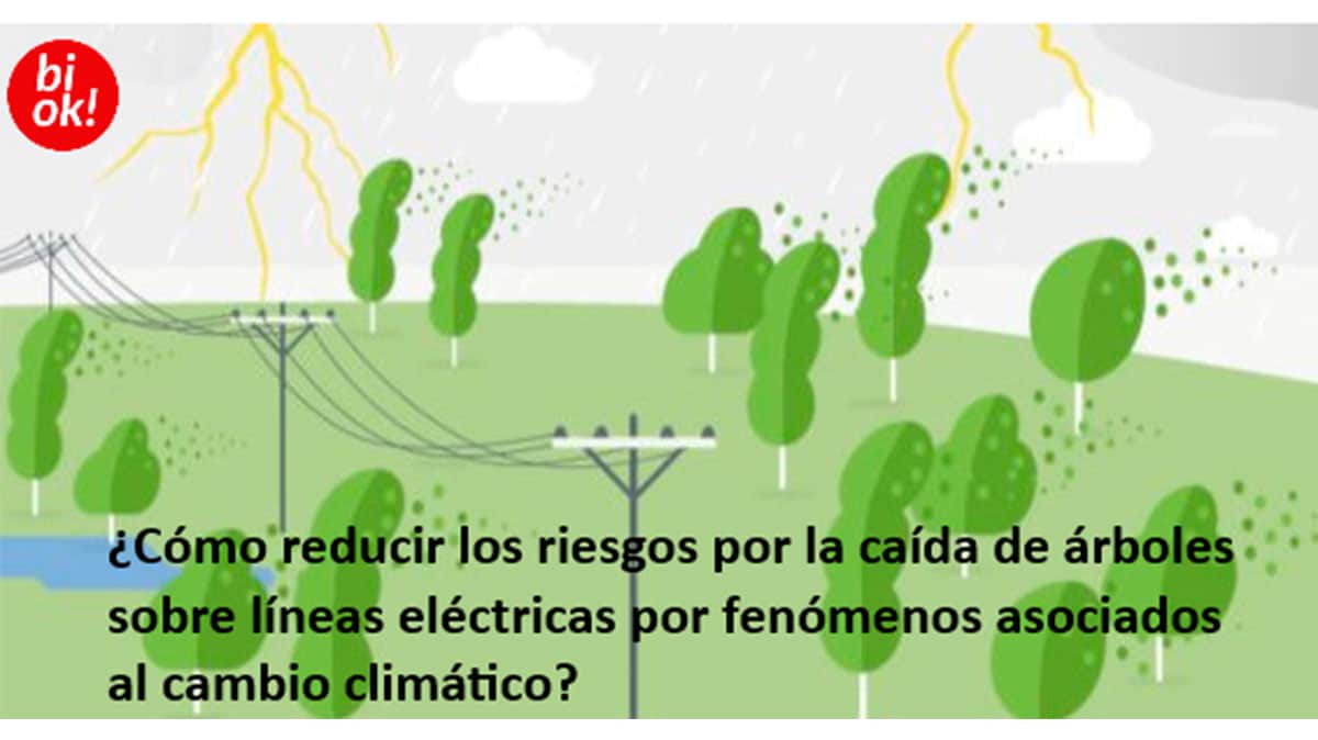 Reto Bioz Beaz Iberdrola