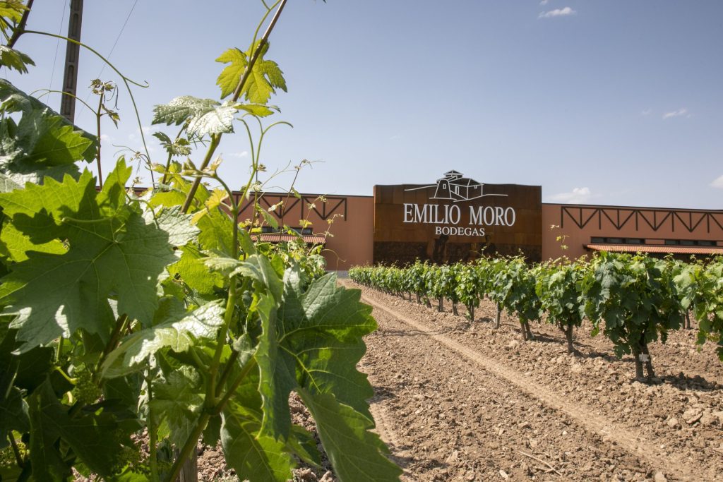 ¿Tienes un proyecto innovador capaz de revolucionar el mundo del vino?