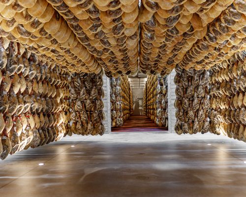 campus del jamón bodega ©Pedro Albornoz