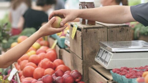 Canales de distribución: Qué son y cómo elegir el más adecuado