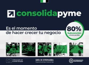 Consolidapyme Junta Extremadura