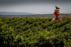 emprender en La Rioja