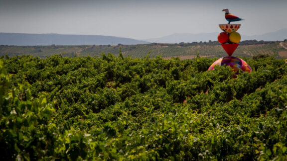 emprender en La Rioja