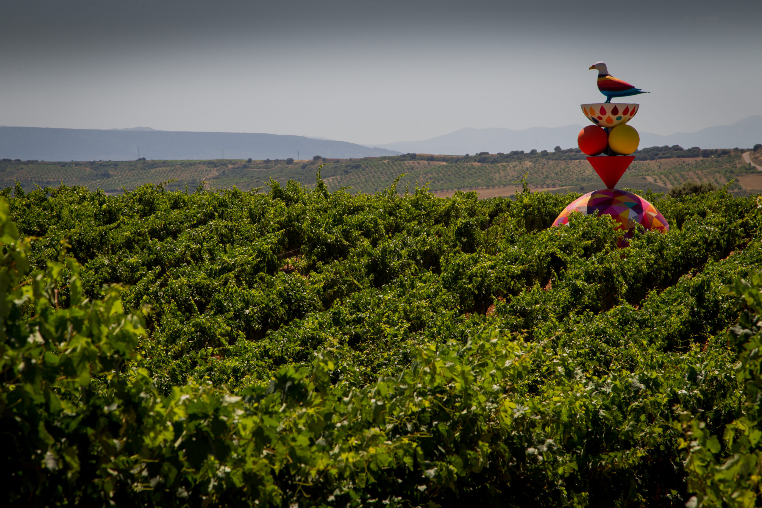 emprender en La Rioja