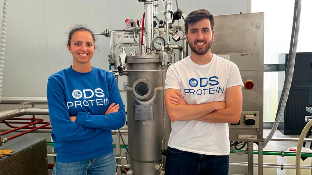 ODS Protein