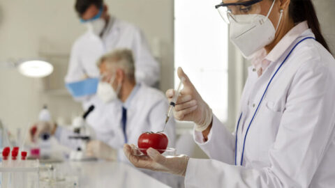 Foodtech
