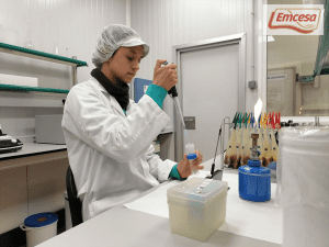 Colaborar e innovar, ingredientes para la receta del éxito de Emcesa