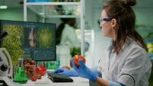 La proteína alternativa se está convirtiendo en un potencial de desarrollo industrial en Cataluña