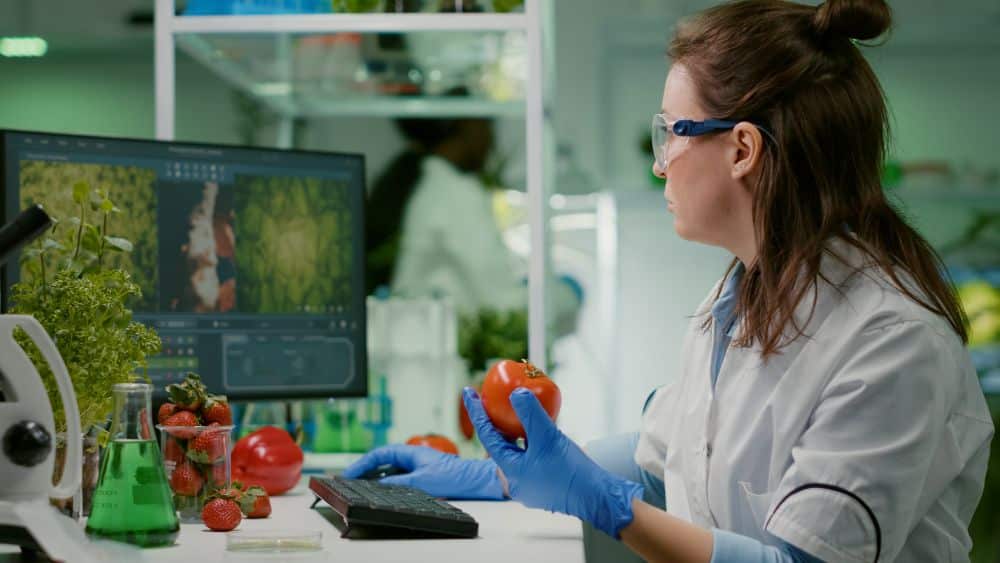 La proteína alternativa se está convirtiendo en un potencial de desarrollo industrial en Cataluña