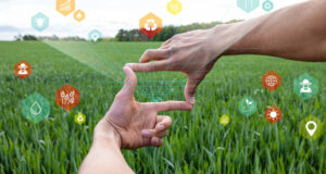 5 startups de habla hispana para impulsar la innovación agroalimentaria