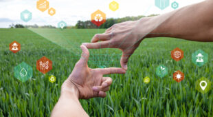 startups de innovación agroalimentaria