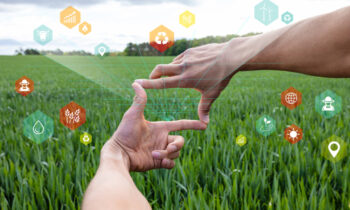 5 startups de habla hispana para impulsar la innovación agroalimentaria