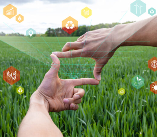 startups de innovación agroalimentaria