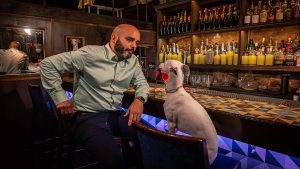 La idea de MOPets