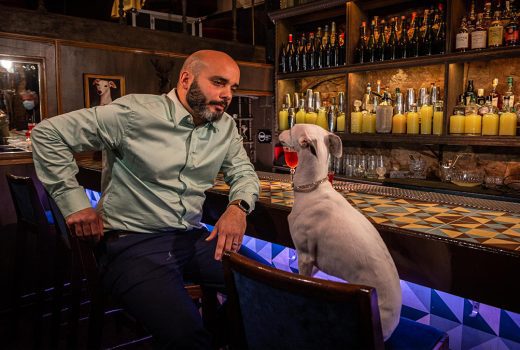 La idea de MOPets
