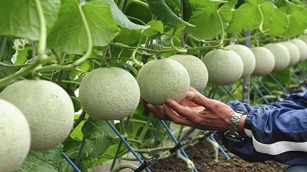 Los productos mas caros
