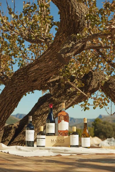 Bodega Masos