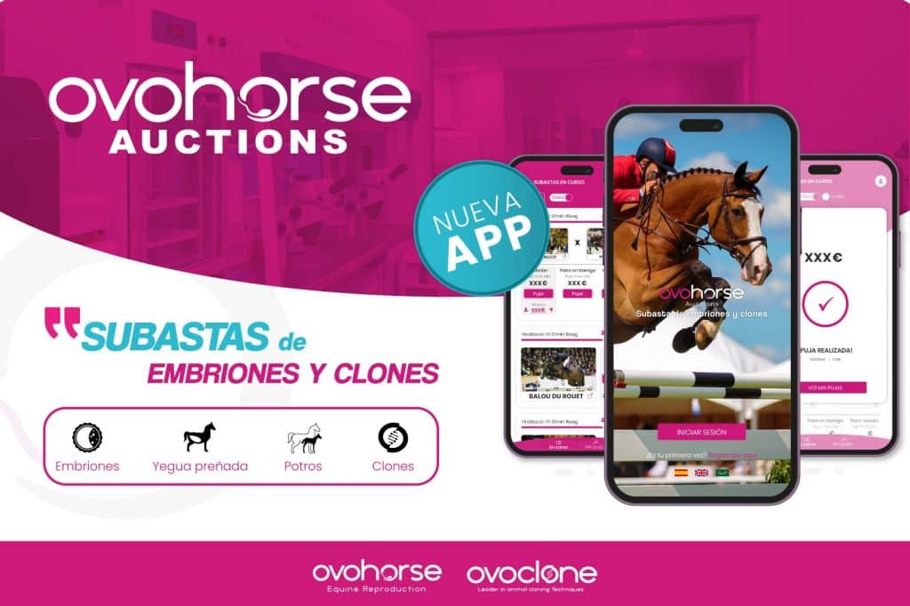 La App de subastas Ovohorse Auctions lanza un embrión de «Chacco Blue»
