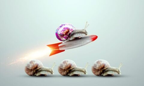 oportunidades internacionales