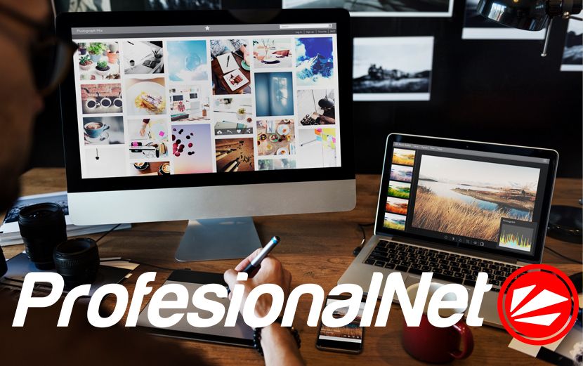 El Diseño web en 2024: nuevas tendencias y desafíos, por ProfesionalNet