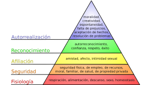 ¿Qué es la Pirámide de Maslow? La herramienta que te ayuda a conocer las necesidades de tus clientes