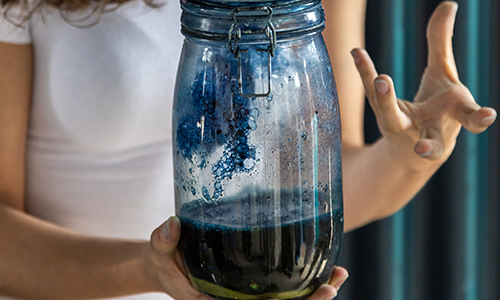 Así cultivan el futuro de la moda en Tintoremus
